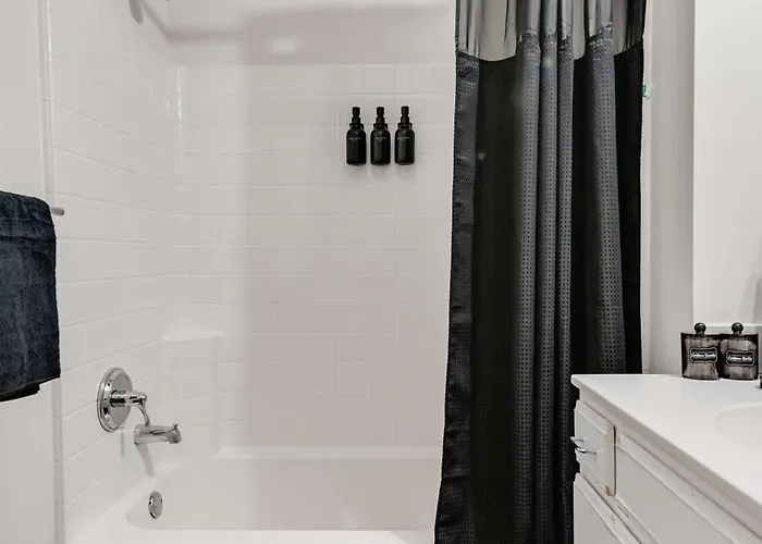 Apartment Downtown With Free In & Out Parking 5 Chicago