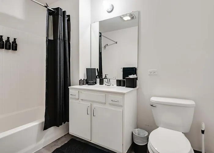 Downtown With Free In & Out Parking 5 Apartment Chicago